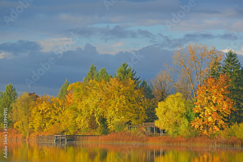 Autumn landscape at sunrise of the shoreline of Whitford Lake with reflections in calm water, Fort Custer State Park, Michigan, USA