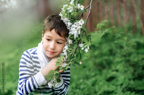 a boy in a striped longsleeve stands and hugs a flowering branch of an apple tree in springv