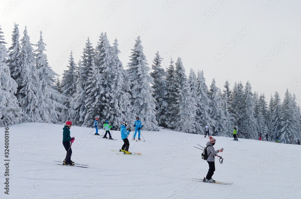 Skiers on the track in the snow