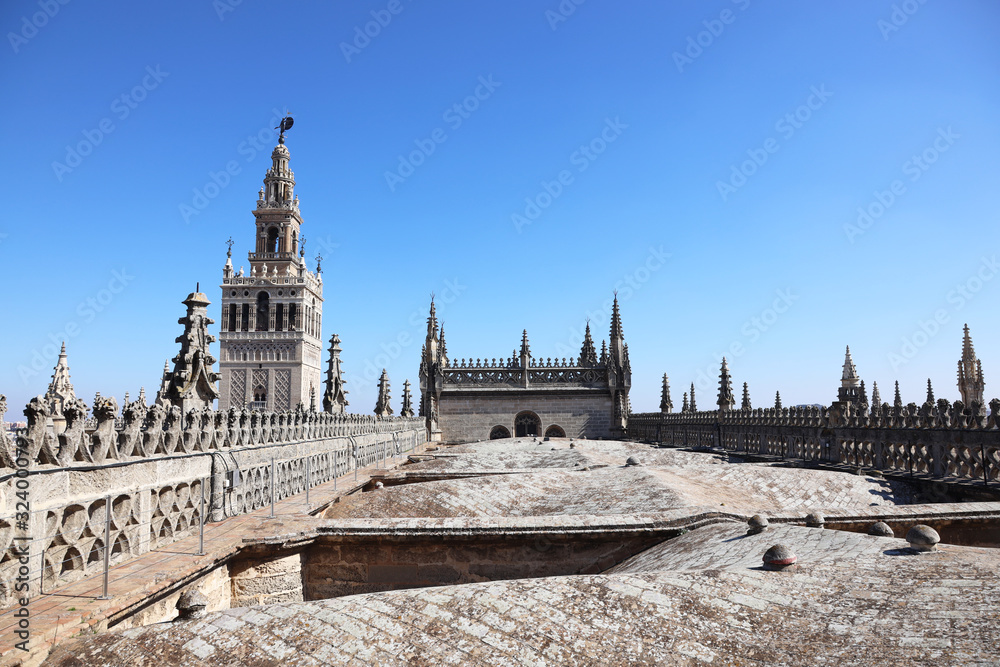 Giralda Tower + Seville Cathedral Roof