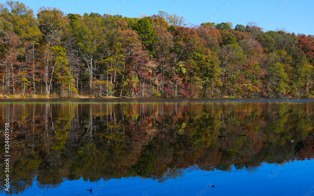 autumn landscape with lake and trees autumn landscape with lake and trees