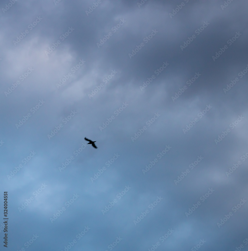 The evening before the storm over the Black Sea in Sochi