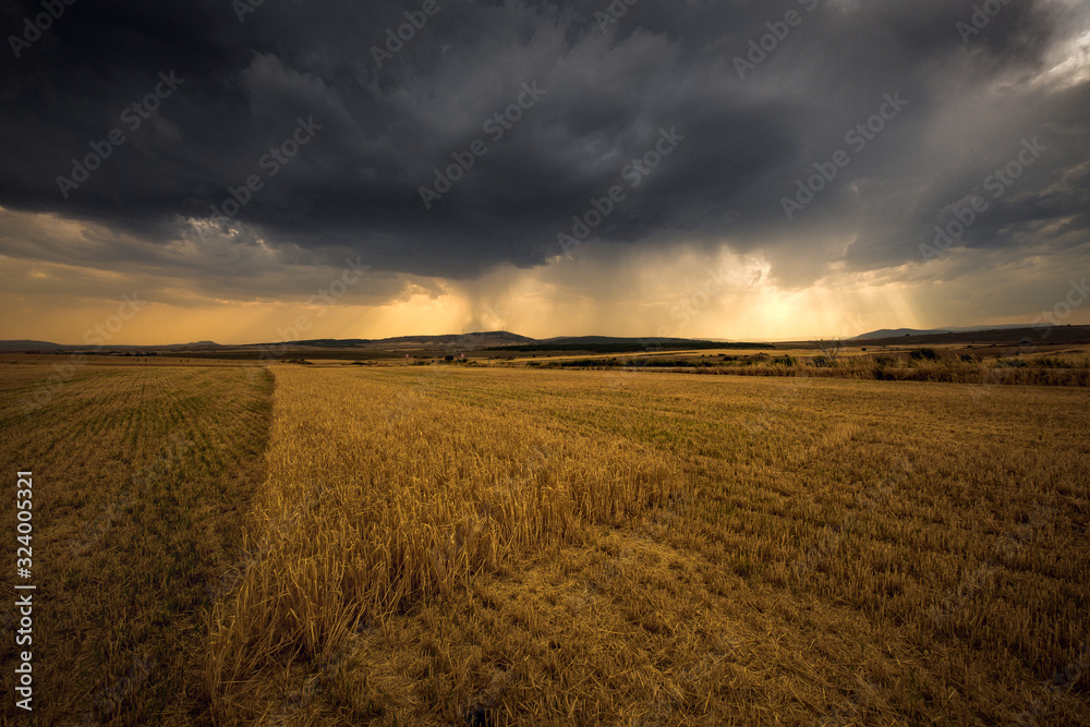 Yellow field during a jeavy storm with heavy clouds