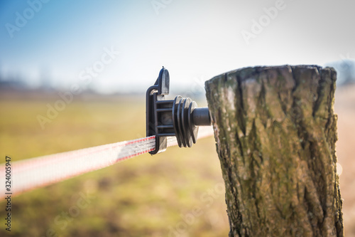 Vászonkép Black electric fence insulator on a fence post