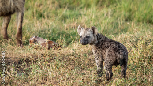 Kenya - Masaï Mara © benoit
