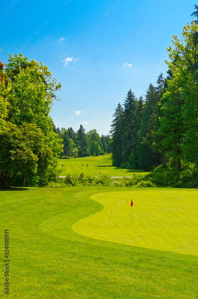 Golf place with gorgeous green and sand bunker.