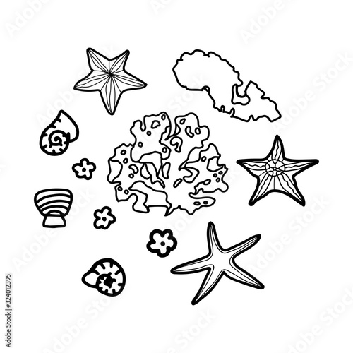 Set with ocean seaweed, starfish, shells in doodle style isolated on white background.Underwater. Vector outline illustration.
