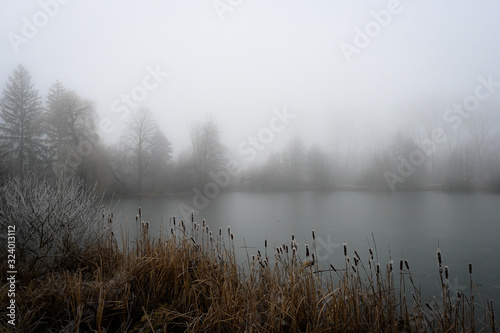 Fototapeta Naklejka Na Ścianę i Meble -  Mysterious fog over the lake 
