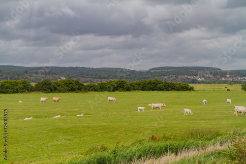 Rural landscape near Arundle