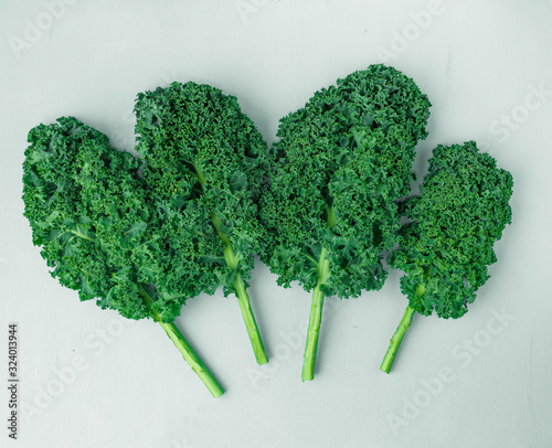 Creative layout made of curly kale leaf on colorful background. Flat lay. Food concept.