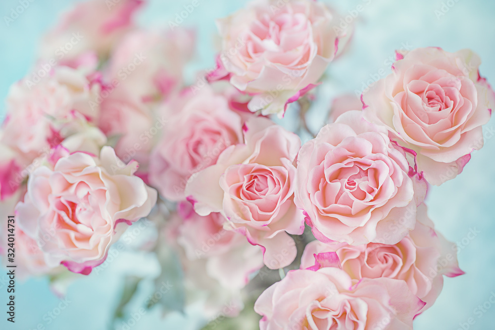 Close-up floral composition with a pink roses. Many beautiful fresh pink roses. 