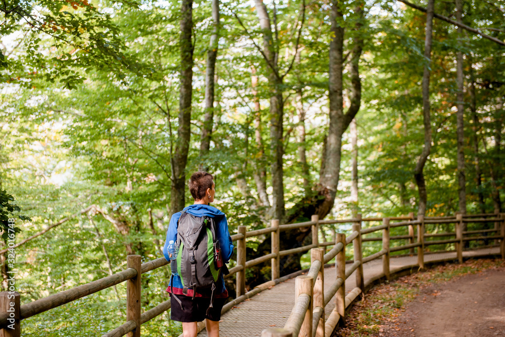 From above back view of unrecognizable tourist standing on wooden bridge and looking at natural landscape in forest From above back view of unrecognizable tourist standing on wooden bridge and looking at natural landscape in forest