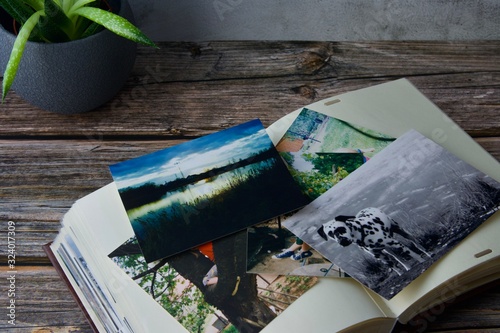 A photo album with scattered colourful various photographs on a wooden table with a green flower on it