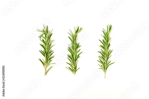 rosemary leaves isolated on white background. flat lay, top view.abstract