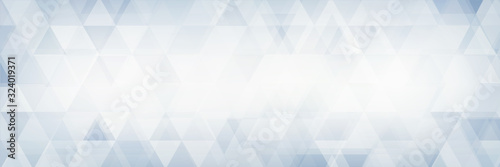 Light blue background textured by triangles on white. Geometric pattern