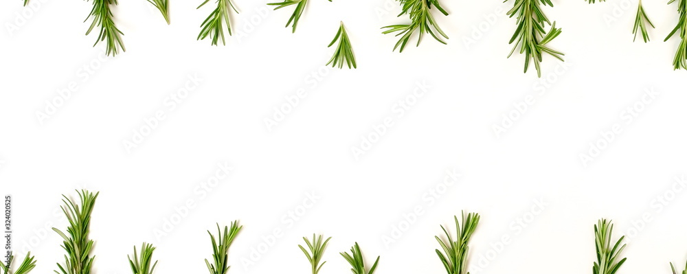 rosemary leaves  frame isolated banner on white background. copy space. flat lay, top view. - obrazy, fototapety, plakaty 
