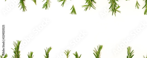 rosemary leaves frame isolated banner on white background. copy space. flat lay, top view.