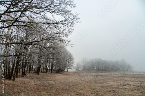 Fototapeta Naklejka Na Ścianę i Meble -  Krajobraz wiejski Podlasia, Podlaskie wierzby, Łagodna zima 2020, Dolina Narwi, Polska