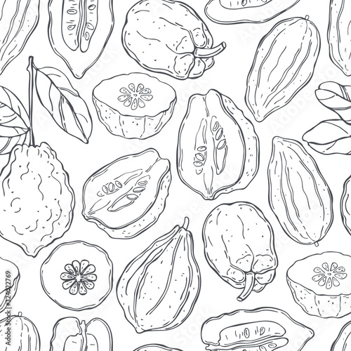 Hand drawn citron.  Vector  seamless pattern