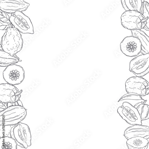 Vector background with hand drawn citron. Sketch illustration