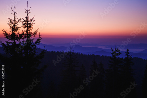 Dawn in the mountains - black outlines of fir trees and the top of a mountain range in the fog against the pink stripe of the sky. View from the hotel window in the mountains, dawn at 5 am