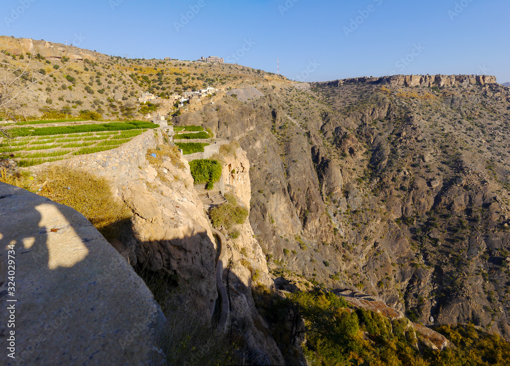Terrace agriculture on the Sayq plateau, Oman