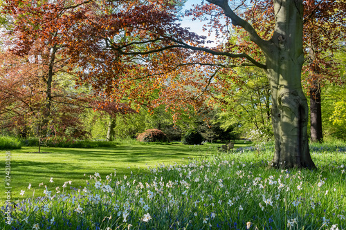 The beautiful natural landscape of the Kew Garden photo