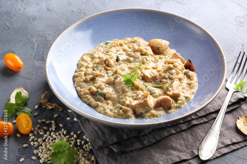 The concept of Italian cuisine. Risotto with mushrooms and parsley on a dark background. Background image, copy space