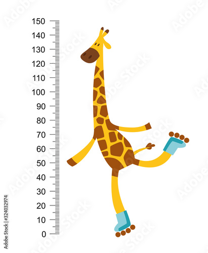 Cheerful funny giraffe on riller with long neck. Height meter or meter wall or wall sticker from 0 to 150 centimeters to measure growth. Childrens vector illustration
