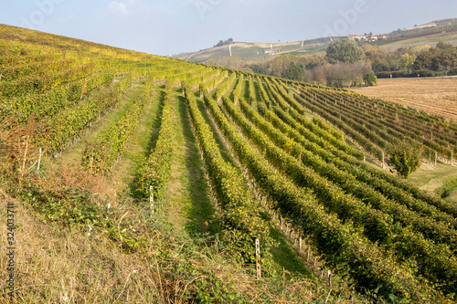 Langhe