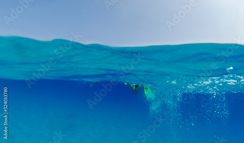 A tourist in flippers swims in the ocean looking over the sandy bottom under water.