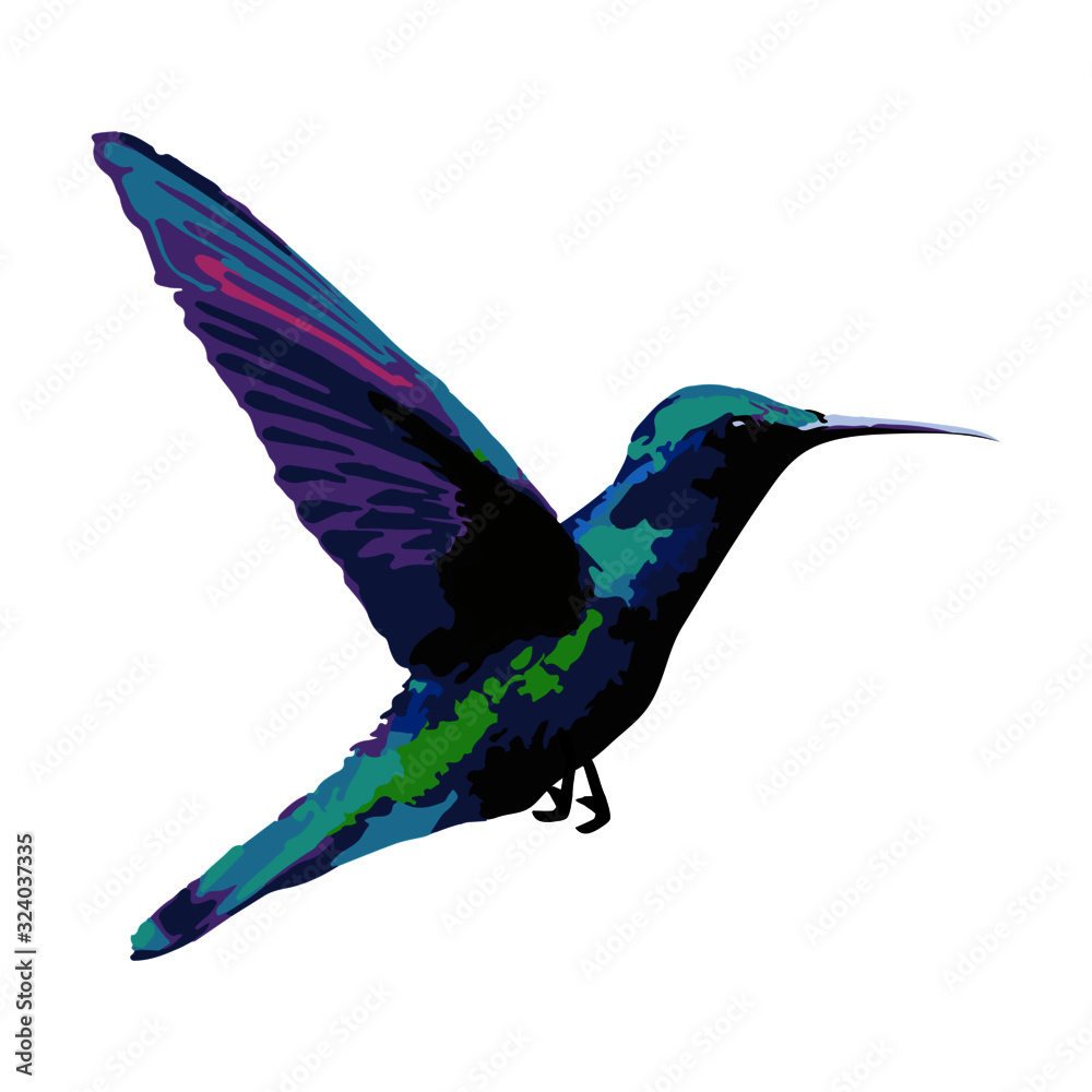 Obraz Akwarela Koliber Kolorowy Ptak Grafika Wektorowa