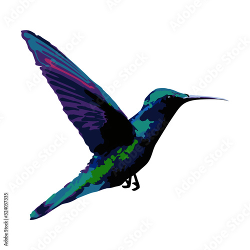 Obraz na płótnie Akwarela Koliber Kolorowy Ptak Grafika Wektorowa