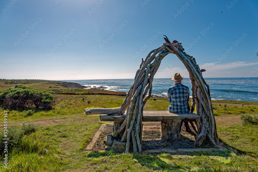 Fototapeta premium Contemplation 2