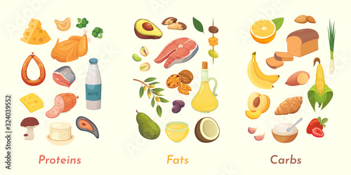 Macronutrients vector illustration. Main food groups : proteins, fats and carbohydrates. Dieting, healthy eating concept.