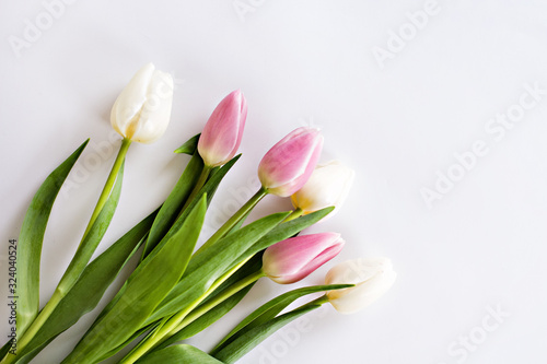 Bouquet of white and pink tulips on a white background. Women s Day  Mom s Day