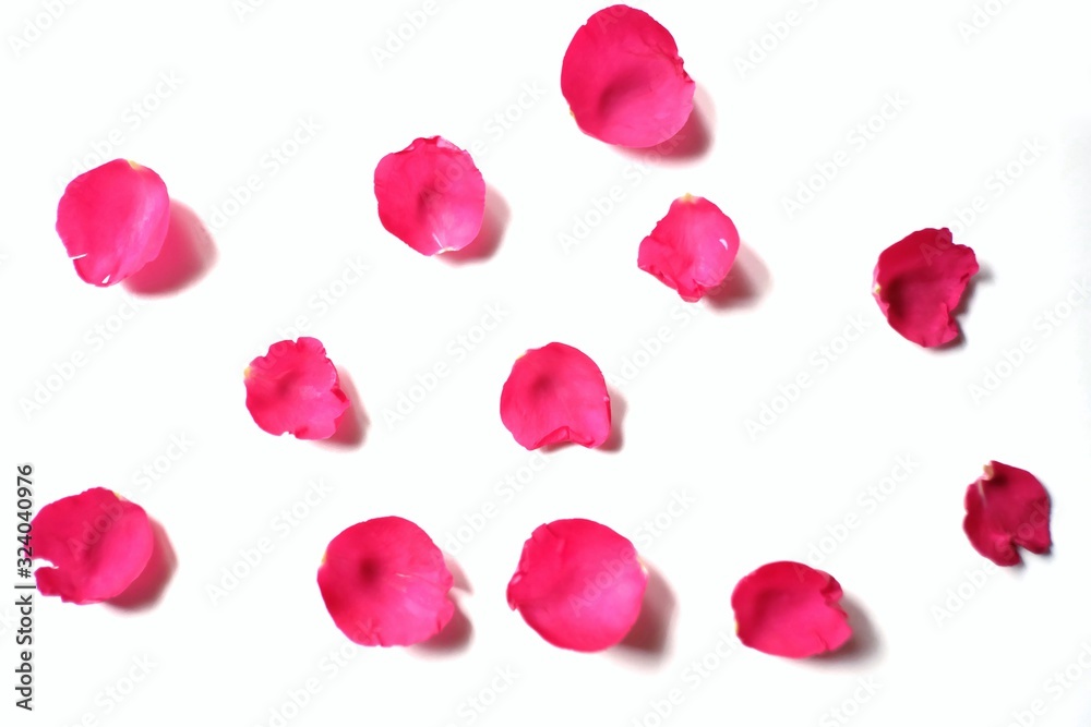 Blurred many sweet red rose corollas on white isolated background and colorful flora details Blurred many sweet red rose corollas on white isolated background and colorful flora details