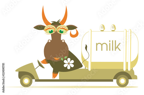 Funny cow drives a milk tanker illustration. Cartoon comic cow with a flower in its mouth drives a milk tanker isolated on white