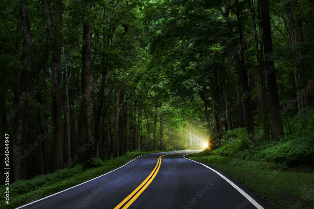 Fototapeta premium Dark Asphalt Road Winding through Lush Green Forest with Sunshine Peaking Through