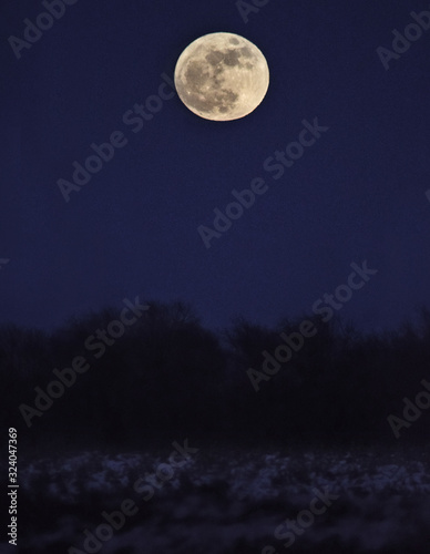 Full Moon in Night Sky over Snowy Field