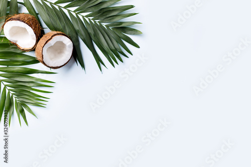 Summer vacation, paradise, ocean shore resort, tropical beach travel concept, sea coast. Coconut palm leaves on white background. Summertime creative layout, copy space