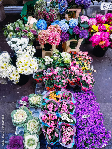 Flowers, plants, florist, colours, colourful (ID: 324052994)