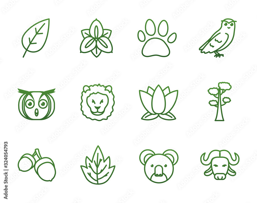Biodiversity and animals gradient style icon set vector design Biodiversity and animals gradient style icon set vector design