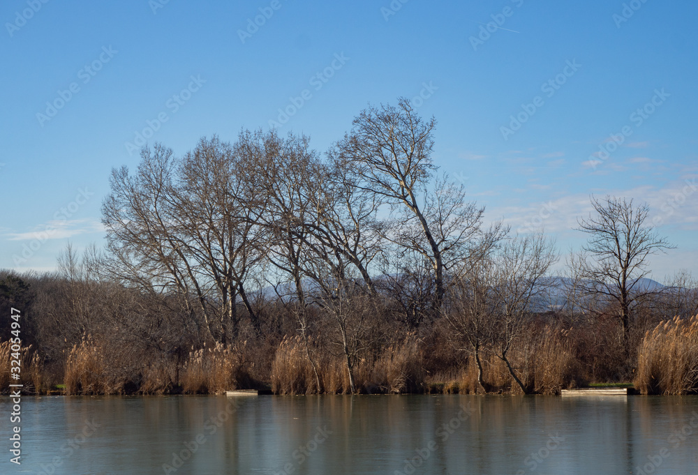 Small lake on a sunny winter day