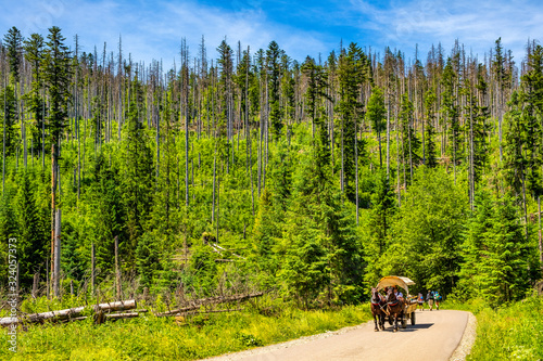 Fototapeta Naklejka Na Ścianę i Meble -  Zakopane, Poland - Panoramic view of the Tatra Mountains and the track to Morskie Oko pond along Rybi Potok Valley with a touristic horse cart