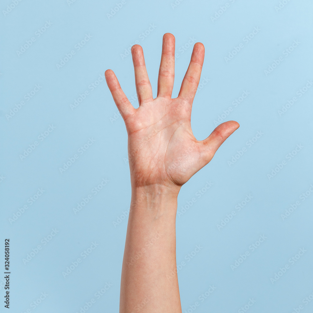 Female hand on a blue background in various positions. Female hand on a blue background in various positions.