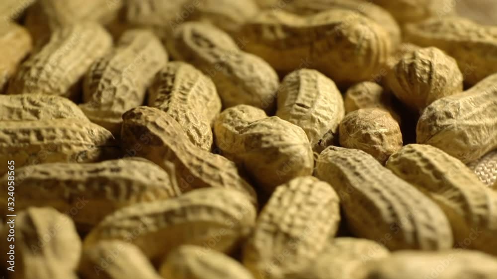 Concept of nuts and peanut oil. organic and vegan and vegetarian lifestyle. Peanut nuts macro plan. Peanuts in a peel. Concept of nuts and peanut oil. organic and vegan and vegetarian lifestyle. Peanut nuts macro plan. Peanuts in a peel.