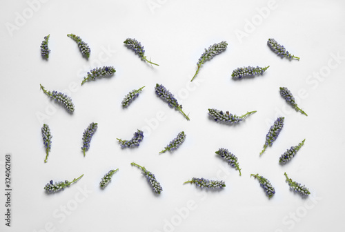 Beautiful floral composition with flowers on white background, flat lay