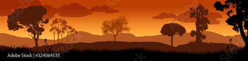 Beautiful sunset in savanna landscape