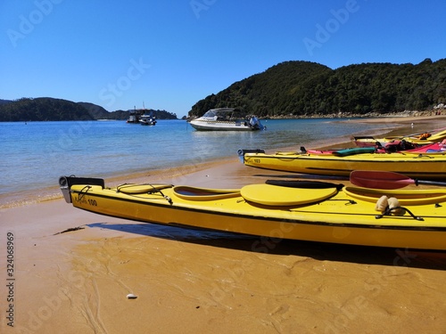 Abel Tasmen National Park, Neuseeland, Strand, Kleopartrapool